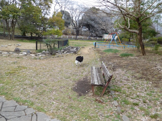 c0343734_17243402.jpg