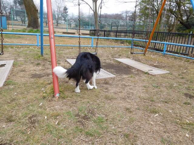c0343734_17243582.jpg