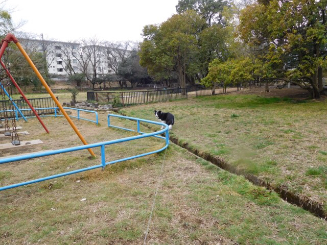 c0343734_17243650.jpg