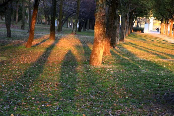 f0166234_04384422.jpg