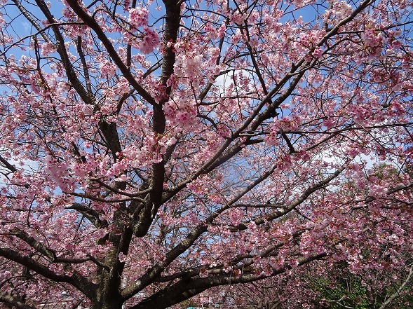 b0299042_16562520.jpg