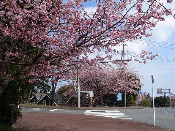 b0299042_16565666.jpg