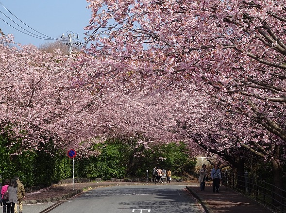 b0299042_16572484.jpg