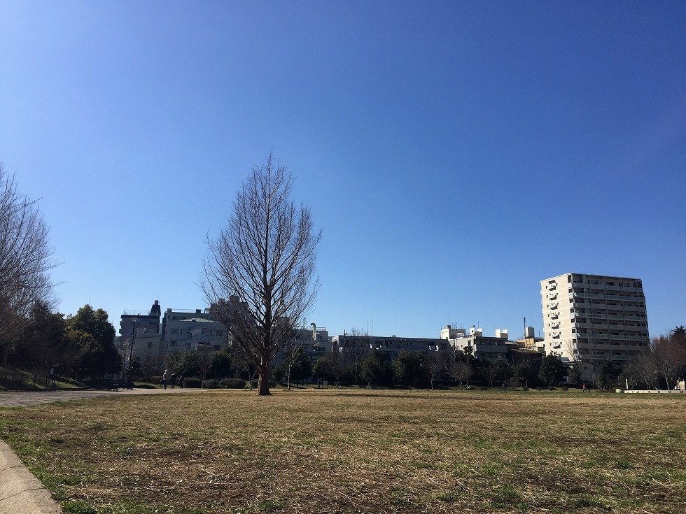 f0171345_21193014.jpg