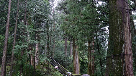 f0087347_1347423.jpg