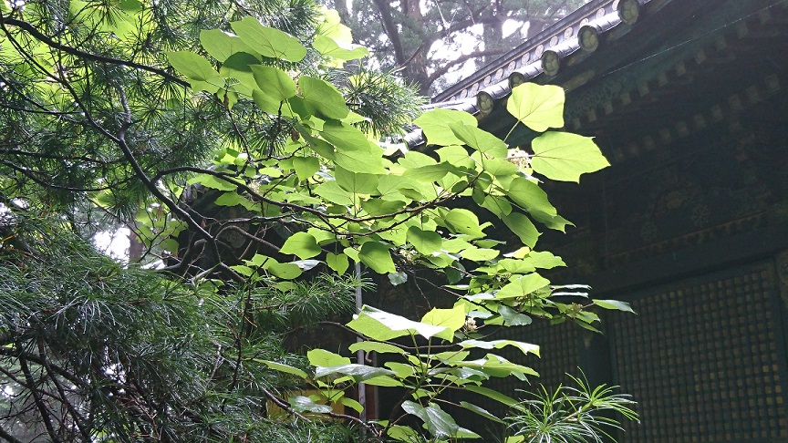 f0087347_13481167.jpg