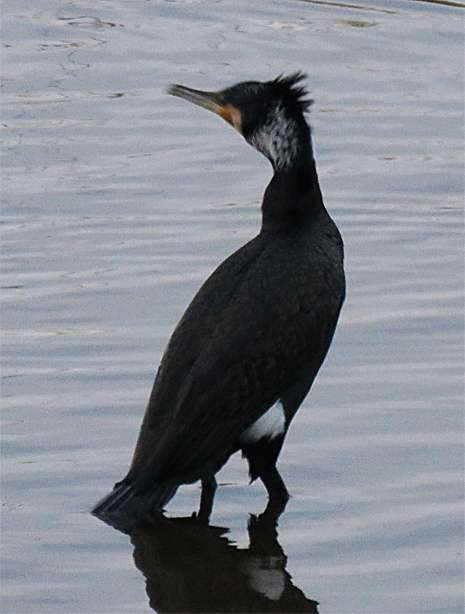 f0214649_21281494.jpg