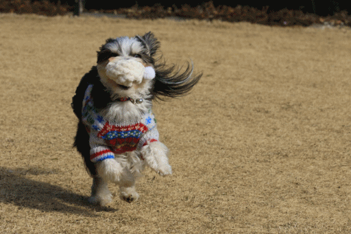 c0145250_09531834.gif