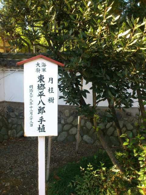 c0017651_22114435.jpg