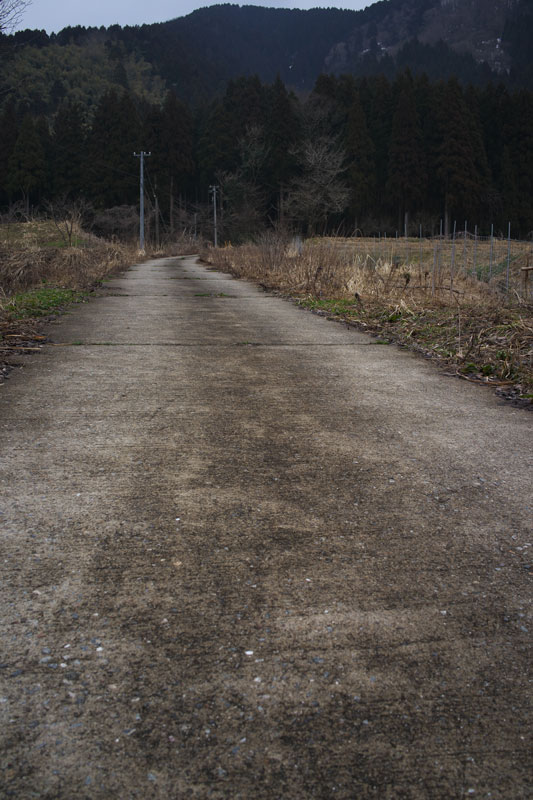d0342652_14391147.jpg