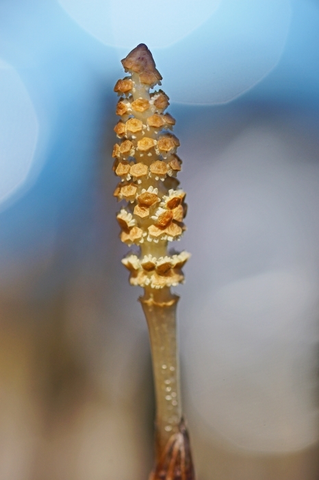 e0229455_23301573.jpg