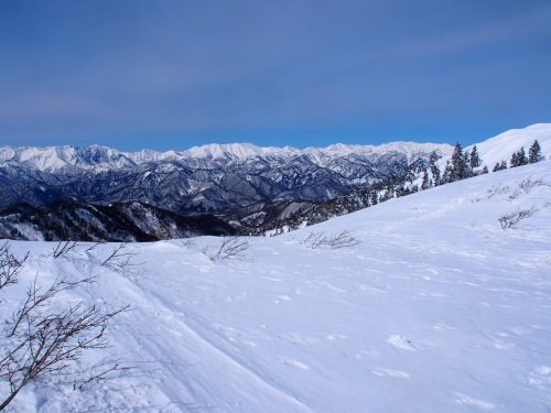 b0335256_12415107.jpg