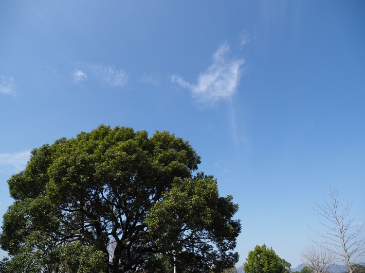 b0123359_21215945.jpg