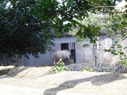 e0266067_19341741.jpg