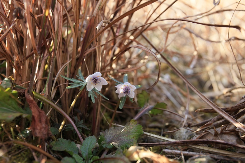 e0304170_18341344.jpg