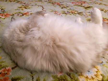 f0000673_22433610.jpg