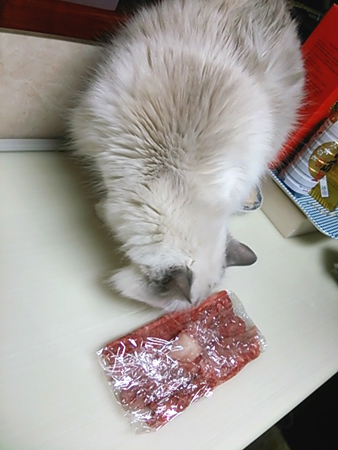 f0000673_22435389.jpg
