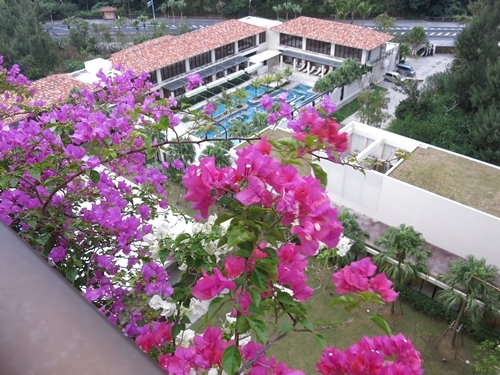 f0299682_16012057.jpg