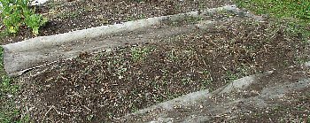 f0003283_17235678.jpg