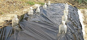 f0003283_17235976.jpg