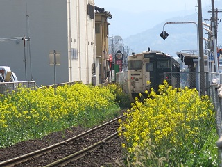 e0130185_14215619.jpg