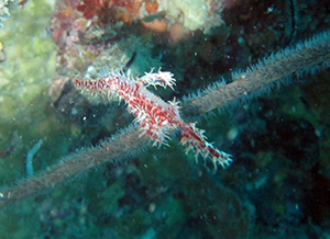 f0144385_22125282.jpg
