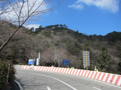a0251786_1535169.jpg