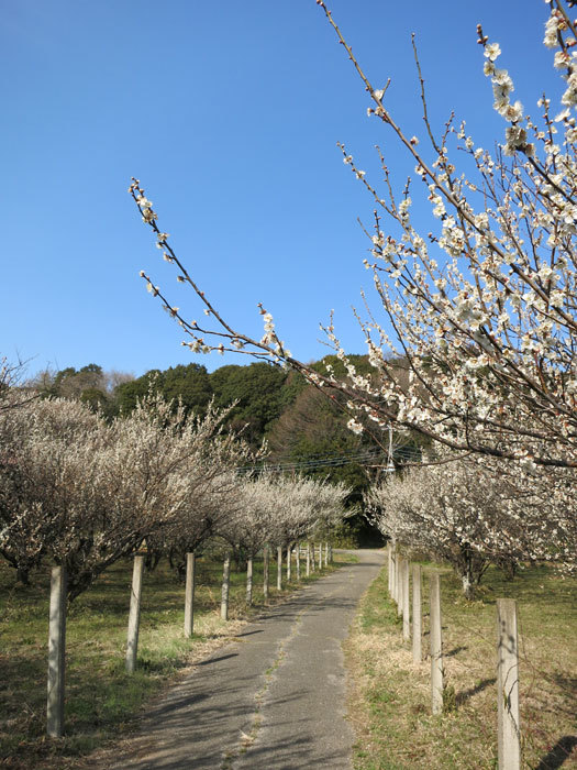 f0176688_23450238.jpg