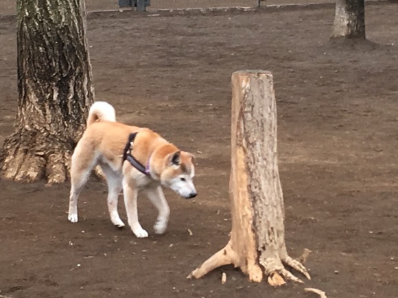 c0123890_16250513.jpeg
