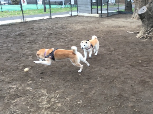 c0123890_16253266.jpeg