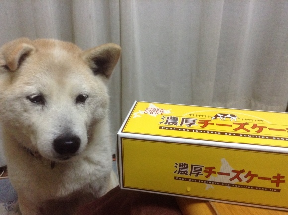 c0123890_19494023.jpeg