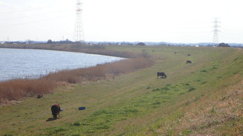 a0338094_03002209.jpg