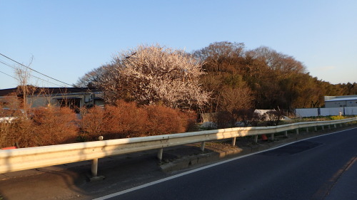 a0338094_03092626.jpg