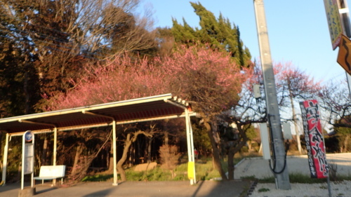 a0338094_03093342.jpg