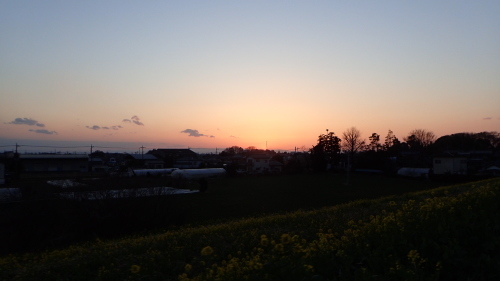 a0338094_03134556.jpg
