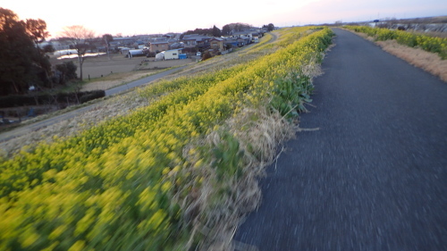 a0338094_03155234.jpg