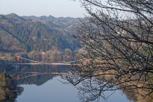 e0366896_23055239.jpg