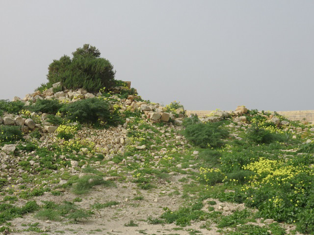 f0346196_11532871.jpg