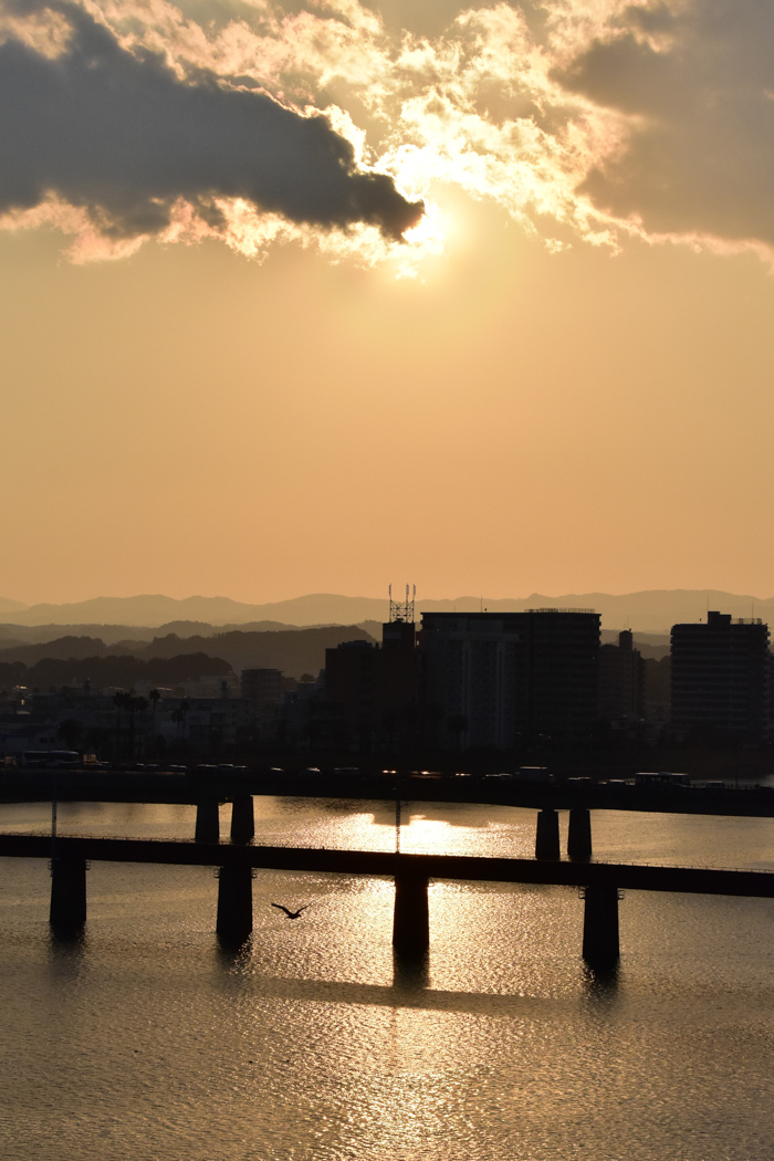 c0049299_22535263.jpg