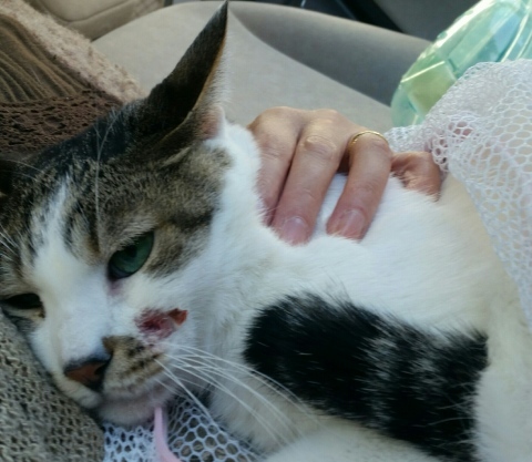 e0144012_02021505.jpeg
