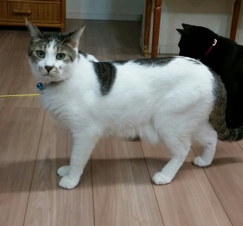 e0144012_02132054.jpeg