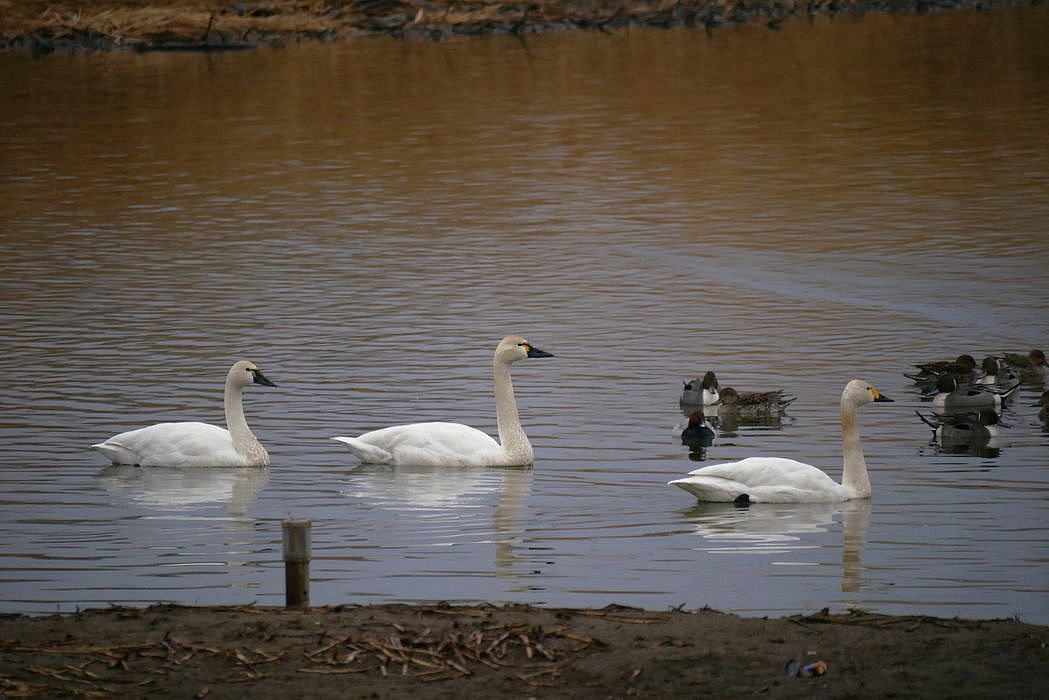 a0031821_13305136.jpg