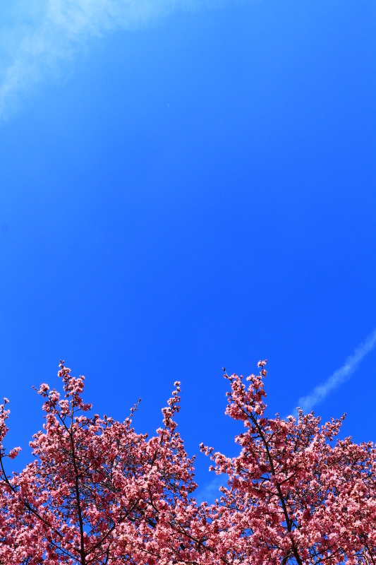 f0209122_10012475.jpg