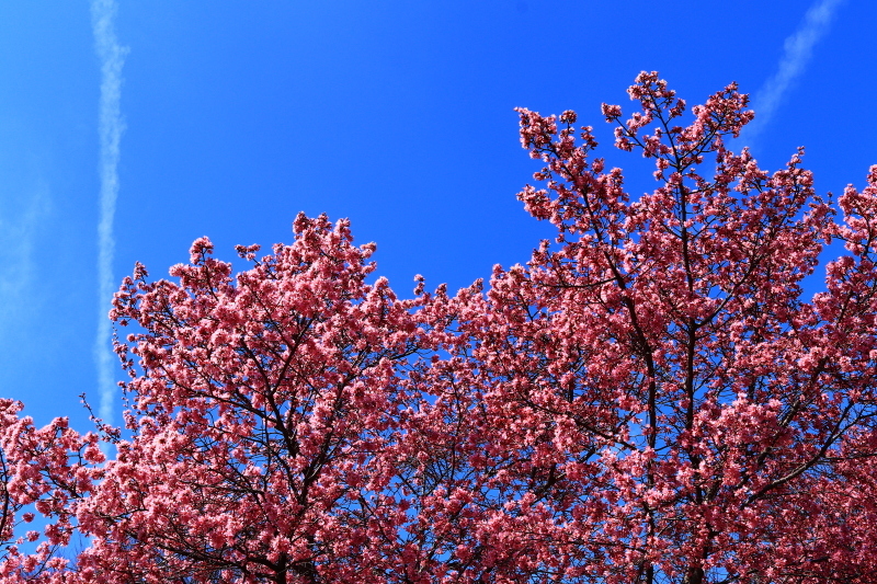 f0209122_10021317.jpg