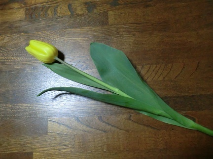 f0198926_22554611.jpg