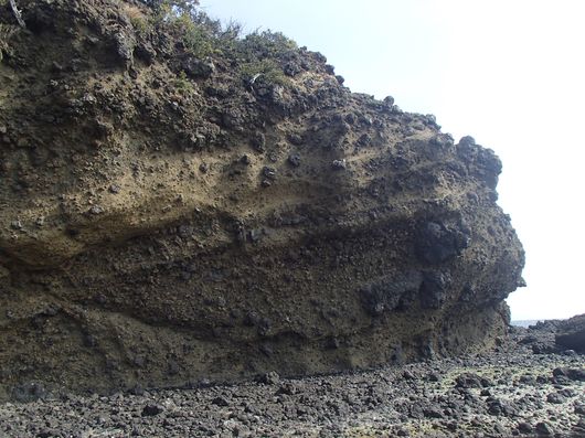 c0162128_754249.jpg