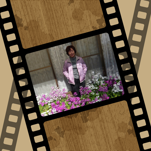 a0206332_08584137.png