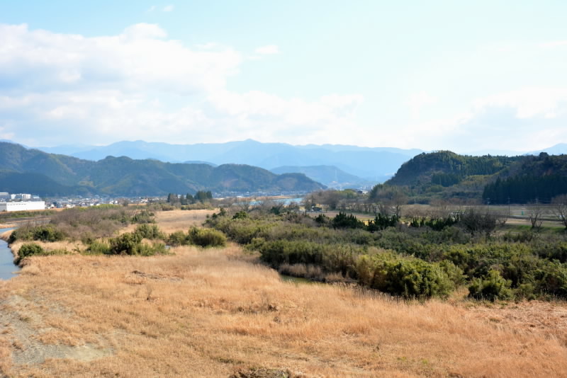 e0056537_20554999.jpg