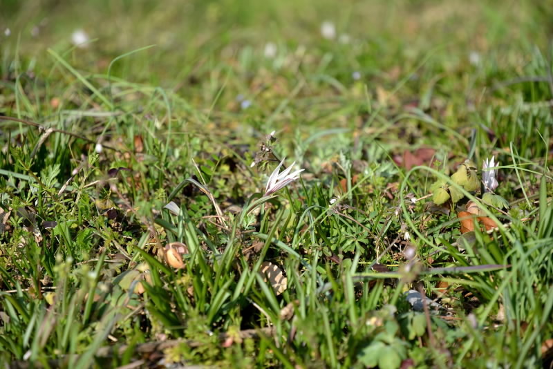e0056537_20581043.jpg