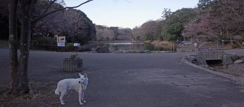 a0117039_02550.jpg
